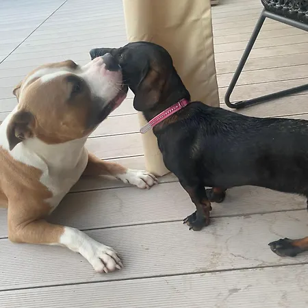 Strandhaus Am Woerthersee ホテル *