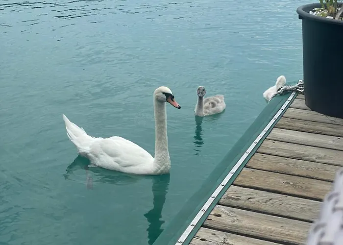 Strandhaus Am Woerthersee Hotel *