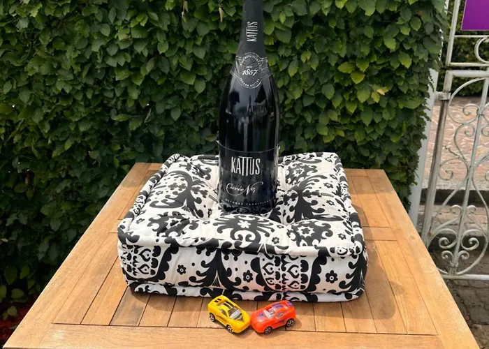 Strandhaus Am Woerthersee Hotel