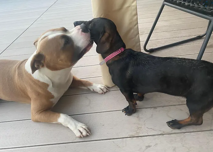 Strandhaus Am Woerthersee Hotel *